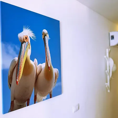Chloe Appartement *